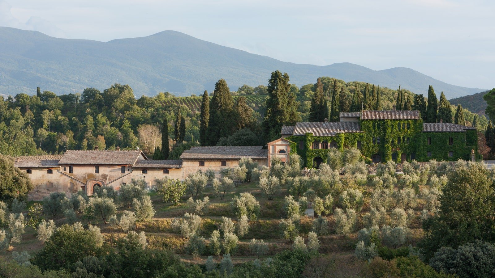 franco biondi santi tenuta greppo